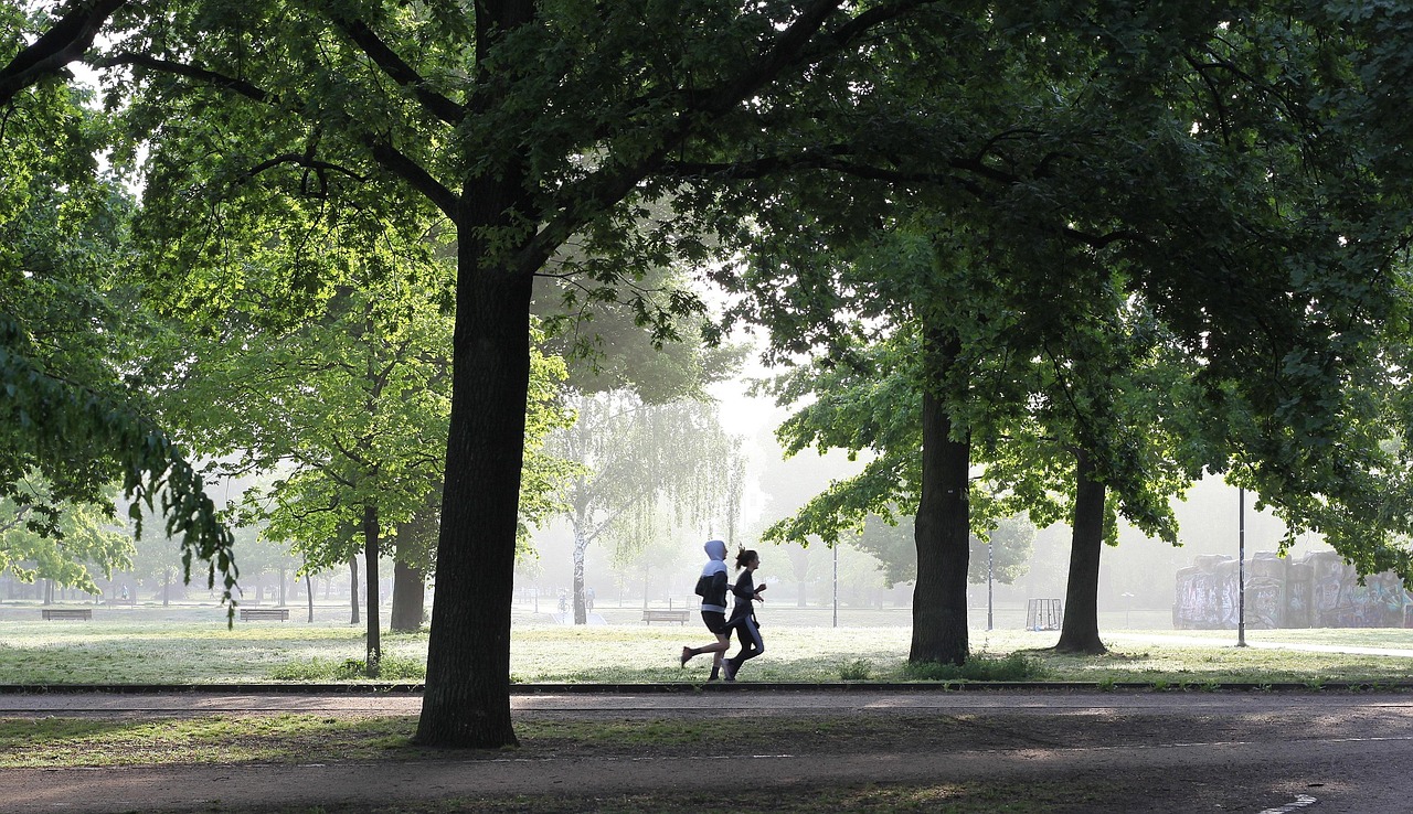 jogging-4211946-1280-69340850e94bc166626046.jpg